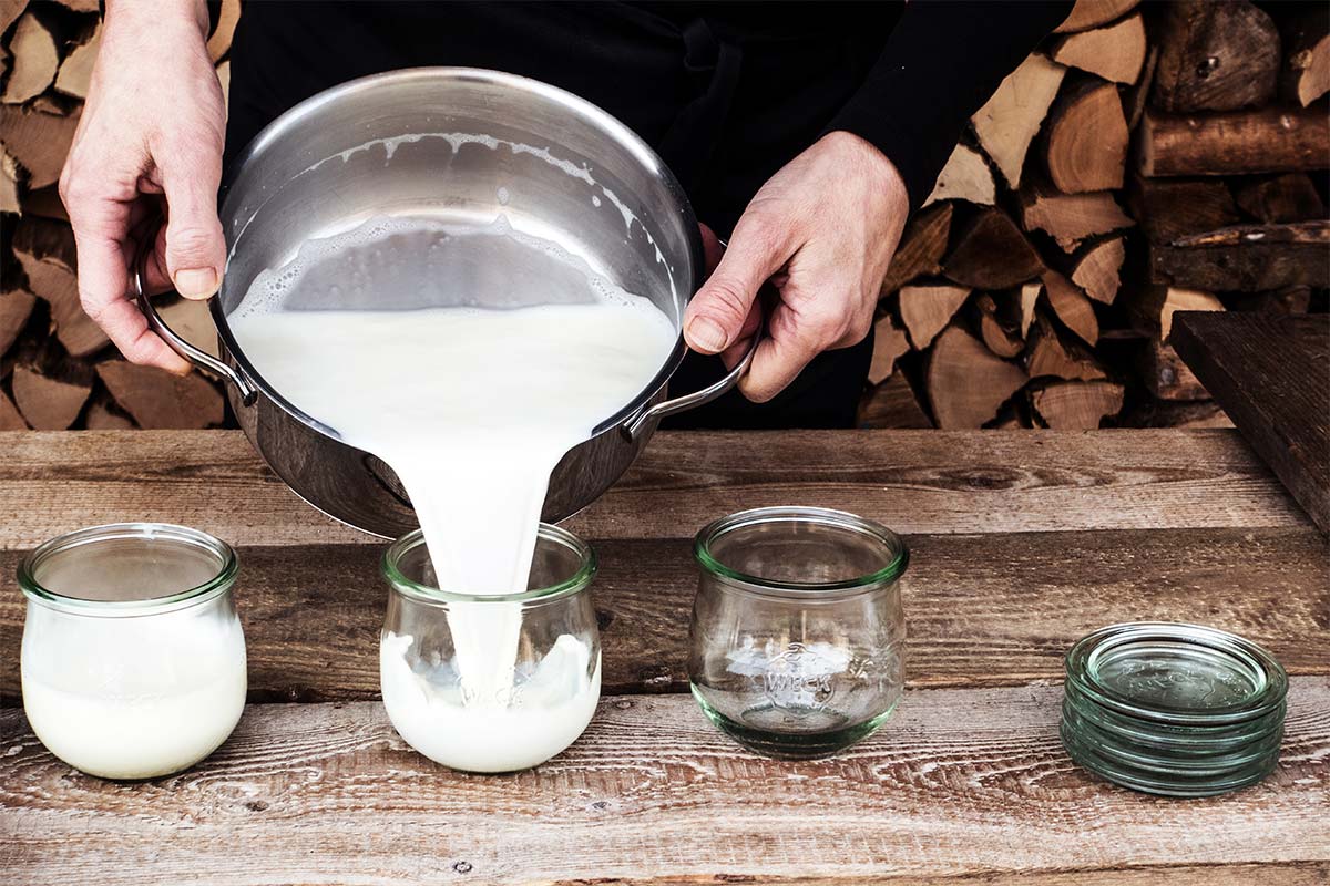 Milch-Joghurt-Mischung wird in hitzebeständige Gläser gefüllt