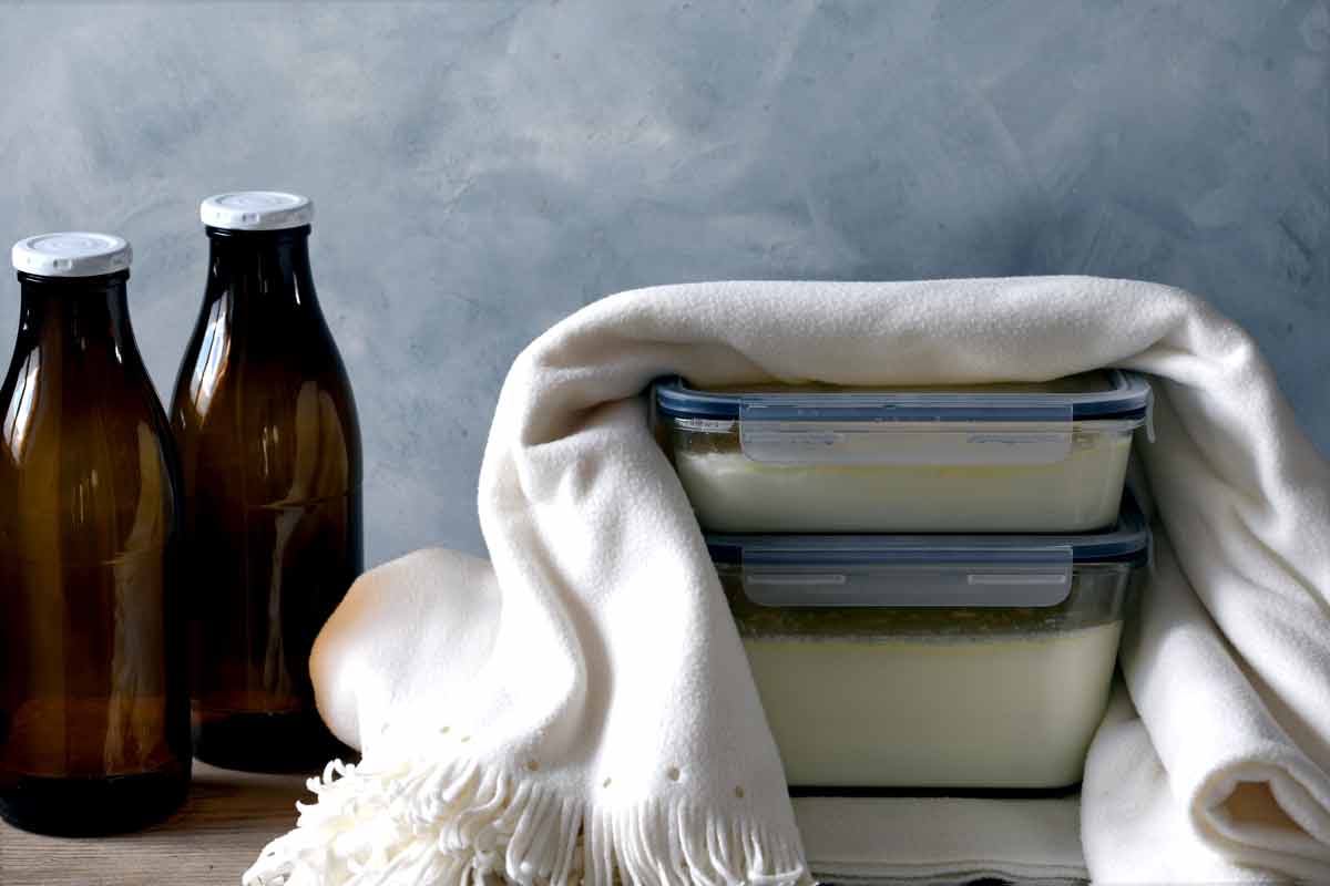 Gläser mit Joghurt-Mischung dick in eine Decke eingewickelt – für warme Fermentation