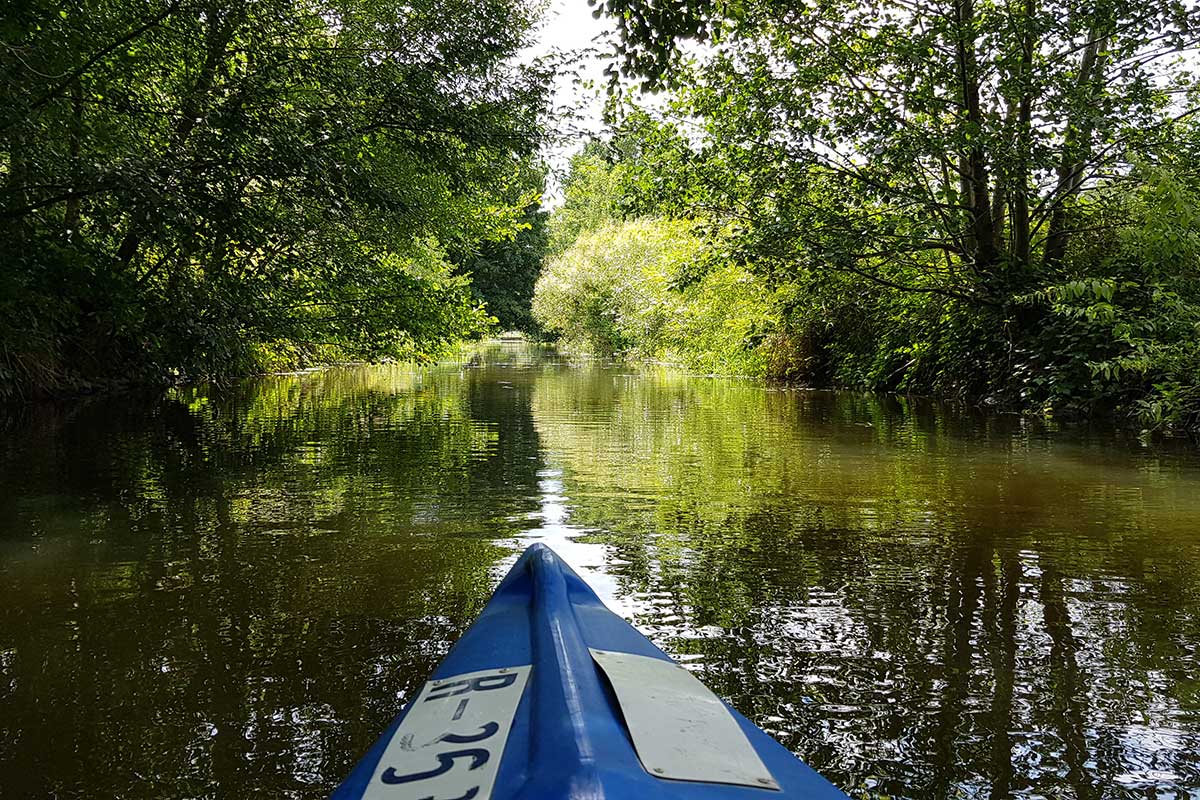 Naab und Bäume und Spitze eines Kajaks
