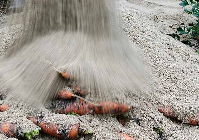 Erdmiete aus Sand in 15 Minuten anlegen