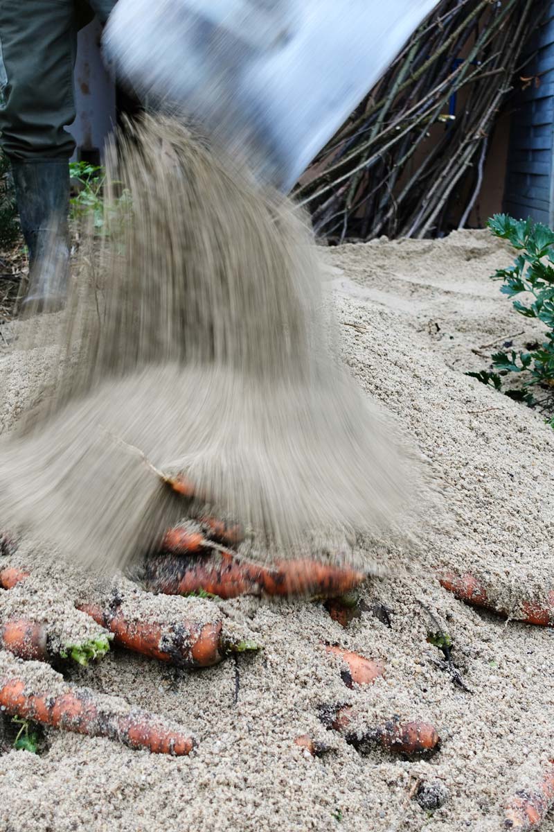 Erdmiete Sand ohne Bauen: Sand mit Schaufel auf den Haufen geben – Schritt für Schritt