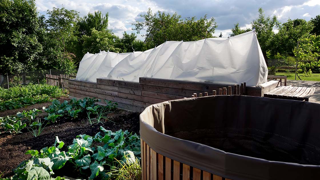 Tomaten im Freiland mit Vlies vor Spätfrost schützen – Ende Mai Oberpfalz
