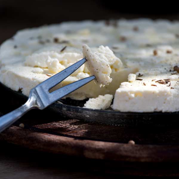 Selbst gemachter Paneer / Panir